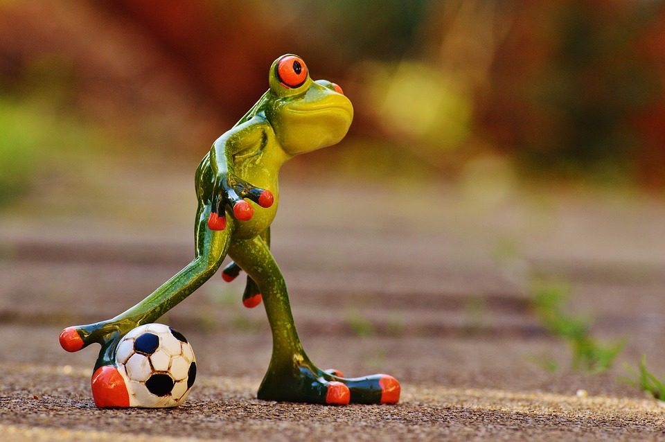 https://pixabay.com/en/frog-football-funny-cute-play-1175599/