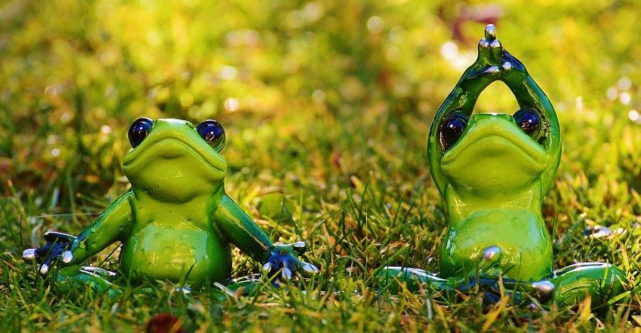 https://pixabay.com/en/frogs-yoga-meadow-fig-animal-1109775/