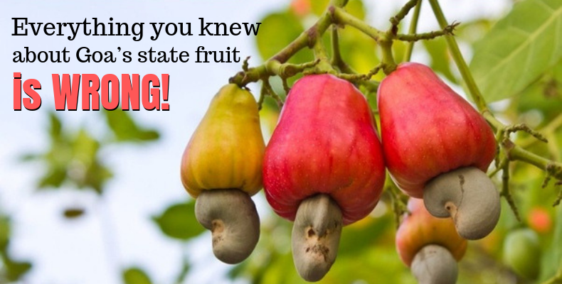 Cashew Fruit is State Fruit of Goa