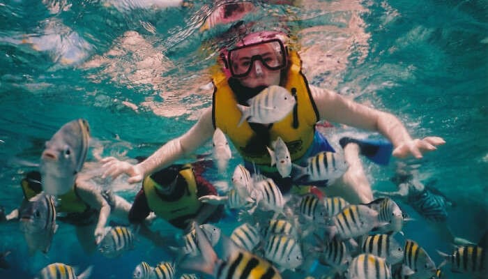 is-goa-good-for-snorkeling
