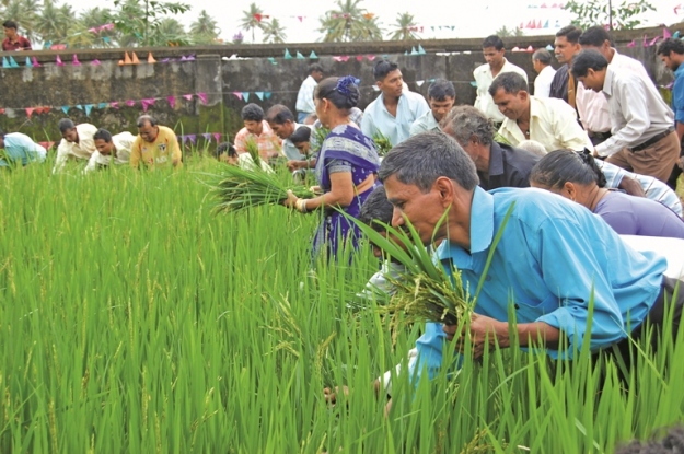 Goan festivals in August