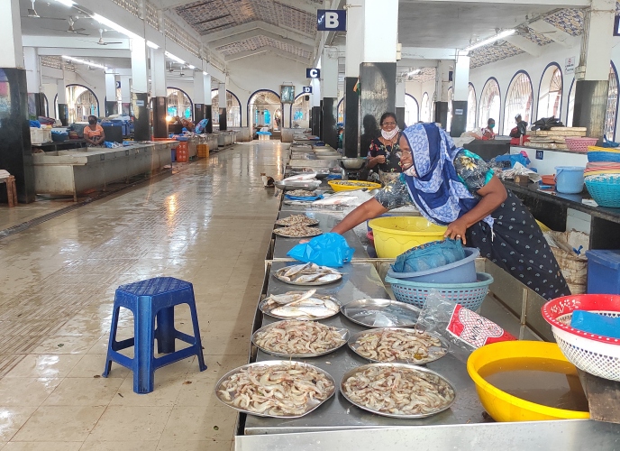 Goan Fish Markets