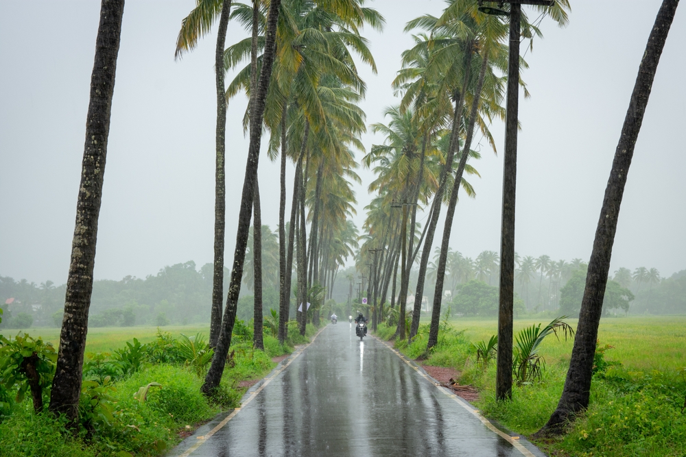 Monsoon Memories