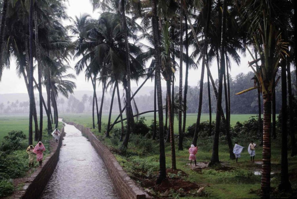 Monsoon