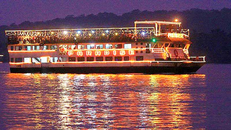 Cruises